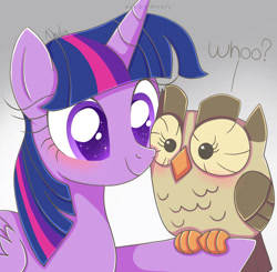 Size: 1024x1005 | Tagged: safe, artist:nnaly, imported from derpibooru, owlowiscious, twilight sparkle, alicorn, bird, owl, pony, awwlowiscious, blushing, colored pupils, cute, duo, female, gray background, mare, outstretched hoof, signature, simple background, smiling, sparkly eyes, starry eyes, twiabetes, twilight sparkle (alicorn), wingding eyes