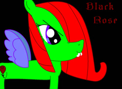 Size: 900x660 | Tagged: safe, artist:kiarakovu123, imported from derpibooru, oc, oc:black rose, oc:may, pegasus, pony, antagonist, black background, cutie mark, evil, evil side, female, flower, mare, narrowed eyes, pure unfiltered evil, purple wings, rose, simple background, teeth, wings