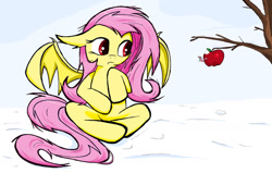 Size: 1280x816 | Tagged: safe, artist:sallycars, imported from derpibooru, fluttershy, bat pony, pony, worm, apple, apple worm, bat ponified, flutterbat, food, race swap, sitting, snow, solo, tree branch