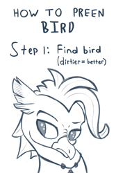 Size: 1316x1974 | Tagged: safe, artist:paracompact, imported from derpibooru, terramar, hippogriff, 3/4 view, angry, bust, grooming, indignant, male, monochrome, offended, portrait, preening, raised eyebrow, sketch, solo, text, three quarter view