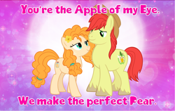 Size: 4600x2900 | Tagged: safe, artist:andoanimalia, imported from derpibooru, bright mac, pear butter, earth pony, brightbutter, buttercup, female, hearts and hooves day, male, shipping, straight