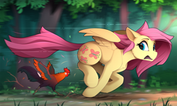 Size: 2410x1435 | Tagged: safe, artist:yakovlev-vad, imported from derpibooru, fluttershy, bird, chicken, pegasus, pony, alektorophobia, animal, blurry background, chase, female, floppy ears, forest, looking back, mare, open mouth, rooster, running, slim, spread wings, windswept mane, wings