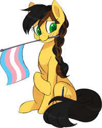 Size: 1632x2048 | Tagged: safe, artist:scarlet-spectrum, imported from derpibooru, oc, oc only, oc:aurora (stardust), earth pony, pony, colored, embarrassed, flag, pride, pride flag, simple background, sketch, slim, solo, transgender pride flag, white background