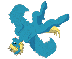 Size: 3212x2616 | Tagged: safe, artist:sroka001, imported from derpibooru, oc, oc only, oc:cinimod, pegasus, pony, :p, fluffy, lying down, on back, solo, tongue out