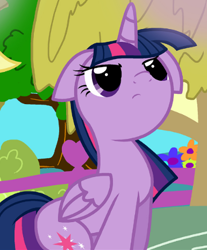 Size: 385x466 | Tagged: safe, artist:pyruvate, imported from derpibooru, twilight sparkle, alicorn, pony, comic:dragon queen, cute, folded wings, looking up, reaction image, solo, twilight sparkle (alicorn), wings