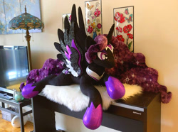 Size: 938x699 | Tagged: safe, artist:purplenebulastudios, imported from derpibooru, oc, oc only, oc:lady nebula, alicorn, pony, female, irl, mare, photo, plushie, solo
