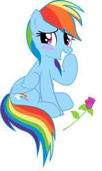 Size: 612x1024 | Tagged: safe, artist:rainbowlover255, imported from derpibooru, rainbow dash, blushing, flower, rose, simple background, solo, transparent background, vector