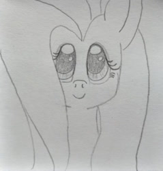 Size: 1024x1073 | Tagged: safe, artist:hofdawn, imported from derpibooru, fluttershy, bust, cute, doodle, portrait, shyabetes