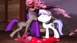 Size: 1920x1080 | Tagged: safe, artist:scratch_wub, imported from derpibooru, oc, oc only, oc:etheria galaxia, oc:scratch wub, alicorn, pony, unicorn, 3d, cherry blossom tree, cherry blossoms, chocolate, duo, female, flower, food, glasses, heart, holiday, horn, kissing, male, mare, oc x oc, shipping, source filmmaker, stallion, teddy bear, tree, valentine's day, wings