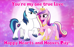 Size: 4600x2900 | Tagged: safe, artist:andoanimalia, imported from derpibooru, princess cadance, shining armor, hearts and hooves day