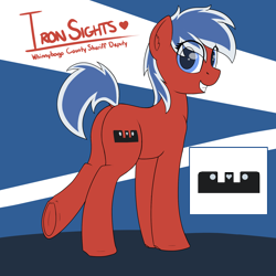 Size: 1800x1800 | Tagged: safe, artist:ponynamedmixtape, imported from derpibooru, oc, oc only, oc:iron sights, earth pony, pony, colored, deputy, female, flat colors, looking at you, looking back, looking back at you, police officer, reference sheet, solo