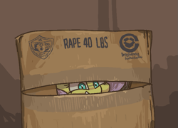 Size: 743x535 | Tagged: safe, artist:plunger, fluttershy, pegasus, pony, >rape, box, cardboard box, drawthread, female, flutterrape, heart eyes, mare, package, smiling, solo, vulgar, wingding eyes