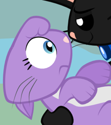 Size: 296x334 | Tagged: safe, artist:magerblutooth, edit, imported from derpibooru, diamond tiara, oc, oc:dazzle, cat, comic:diamond and dazzle, bedroom eyes, canon x oc, catified, collar, cropped, dazzletiara, female, male, shipping, smiling, species swap, straight