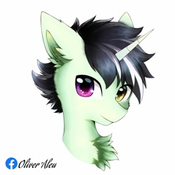 Size: 2000x2000 | Tagged: safe, artist:aleuoliver, artist:aleurajan, imported from derpibooru, oc, oc only, pony, unicorn, bust, chest fluff, ear fluff, heterochromia, horn, simple background, smiling, solo, unicorn oc, white background