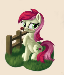 Size: 2470x2882 | Tagged: safe, artist:flusanix, imported from derpibooru, roseluck, earth pony, pony, blushing, female, fence, flower, flower in mouth, mare, mouth hold, raised hoof, rose, rose in mouth, solo