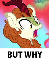 Size: 650x820 | Tagged: safe, edit, edited screencap, imported from derpibooru, screencap, autumn blaze, kirin, sounds of silence, reaction image, solo, why