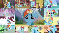 Size: 1972x1111 | Tagged: safe, edit, edited screencap, editor:quoterific, imported from derpibooru, screencap, daring do, fluttershy, pinkie pie, rainbow dash, rarity, tank, twilight sparkle, earth pony, pegasus, pony, turtle, unicorn, a friend in deed, daring don't, just for sidekicks, read it and weep, season 2, stranger than fan fiction, swarm of the century, tanks for the memories, the best night ever, the super speedy cider squeezy 6000, trade ya, bag, bandage, blushing, book, carousel boutique, clothes, cloudsdale, crying, cute, dashabetes, dashie antoinette, dress, duo, duo female, excited, eyes closed, female, floppy ears, gala dress, goggles, golden oaks library, hat, hug, jewelry, male, open mouth, puppy dog eyes, sad, sadbow dash, saddle bag, safari hat, shyabetes, snow, teeth, tiara, tomboy, tomboy taming, tomboy with a girly streak, tourist, unicorn twilight, wig, winghug, wings, winter outfit