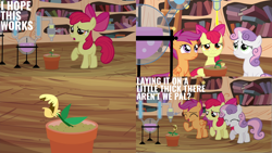 Size: 2000x1125 | Tagged: safe, edit, edited screencap, editor:quoterific, imported from derpibooru, screencap, apple bloom, scootaloo, sweetie belle, earth pony, pegasus, pony, unicorn, season 4, twilight time, bow, cutie mark crusaders, eyes closed, female, golden oaks library, open mouth, plant, solo, teeth, trio, trio female