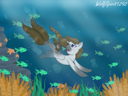 Size: 1440x1080 | Tagged: safe, artist:wolfspirit1292, imported from derpibooru, oc, oc only, fish, pegasus, pony, seapony (g4), starfish, blue eyes, bubble, clothes, coral, crepuscular rays, dorsal fin, fin wings, fish tail, flowing mane, flowing tail, looking up, ocean, open mouth, seaponified, seaweed, see-through, smiling, solo, species swap, sunlight, swimming, underwater, water, wings