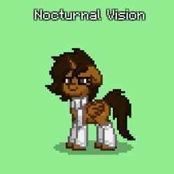 Size: 509x509 | Tagged: safe, artist:lincolnbrewsterfan, editor:nc-tv, imported from derpibooru, oc, oc only, oc:nocturnal vision, alicorn, pony, pony town, alicorn oc, clothes, female, floppy ears, green background, horn, leg warmers, mare, nc-tv, nc-tv:creator ponified, pixel art, ponified, scarf, screenshots, simple background, solo, wings