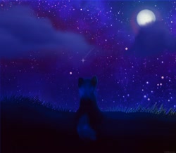 Size: 3212x2806 | Tagged: safe, artist:legionsunite, imported from derpibooru, oc, oc:magenta pulse, pony, unicorn, hill, moon, night, silhouette, starry night