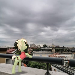 Size: 1080x1080 | Tagged: safe, imported from derpibooru, oc, oc only, oc:milli, earth pony, pony, eponafest, irl, italy, milan, photo, ponies in real life, solo