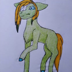 Size: 1080x1080 | Tagged: safe, artist:_shotataarts_, imported from derpibooru, oc, oc only, earth pony, pony, bandage, chest fluff, colored hooves, earth pony oc, female, mare, raised hoof, solo, traditional art