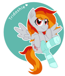 Size: 2260x2654 | Tagged: safe, artist:ninnydraws, imported from derpibooru, oc, oc only, oc:tridashie, pony, clothes, simple background, socks, solo, striped socks, transparent background