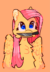 Size: 1039x1476 | Tagged: safe, artist:simple24fox, imported from derpibooru, fluttershy, pegasus, pony, heart eyes, knife, mouth hold, orange background, simple background, solo, wingding eyes, yandereshy