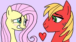 Size: 340x191 | Tagged: safe, artist:hectorlongshot, imported from derpibooru, big macintosh, fluttershy, earth pony, pegasus, pony, blushing, duo, female, fluttermac, freckles, heart, lidded eyes, male, pink background, shipping, simple background, smiling, straight