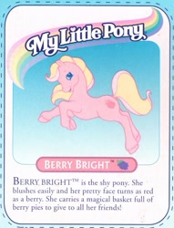 Size: 577x755 | Tagged: safe, imported from derpibooru, berry bright, earth pony, pony, backcard, backcard story, g2, official, text