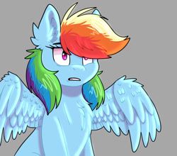 Size: 1280x1127 | Tagged: safe, artist:disphyxia, artist:yourpennypal, imported from derpibooru, rainbow dash, pegasus, pony, chest fluff, ear fluff, female, gray background, mare, simple background, solo, spread wings, wings