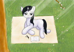 Size: 4134x2894 | Tagged: safe, imported from derpibooru, oc, oc only, oc:photon lee, oc:photon_lee, pony, unicorn, solo