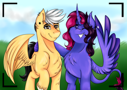 Size: 2888x2052 | Tagged: safe, artist:shamy-crist, imported from derpibooru, oc, oc only, oc:shamy, alicorn, pegasus, pony, alicorn oc, camera shot, chest fluff, ear piercing, earring, female, grin, horn, jewelry, male, mare, pegasus oc, piercing, smiling, stallion, two toned wings, unshorn fetlocks, wing hands, wings