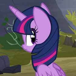 Size: 1080x1080 | Tagged: safe, imported from derpibooru, screencap, twilight sparkle, alicorn, pony, the hooffields and mccolts, cute, female, looking back, mare, sitting, solo, twiabetes, twilight sparkle (alicorn)