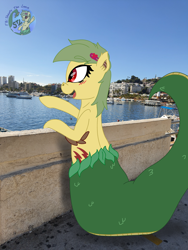 Size: 3024x4032 | Tagged: safe, artist:shappy the lamia, imported from derpibooru, oc, oc:shappy, earth pony, hybrid, lamia, original species, pony, semi-anthro, beach, brooch, building, fangs, fence, happy, heart, holiday, jewelry, long tail, palm tree, photo, pointing, real life background, realistic, scales, sky, snake tail, summer, text, tree, yacht