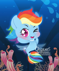 Size: 1563x1866 | Tagged: safe, artist:catseyeart, imported from derpibooru, rainbow dash, pegasus, pony, seapony (g4), 2017, blushing, bubble, chibi, coral, cute, dashabetes, dorsal fin, female, fin wings, fish tail, flowing mane, flowing tail, jewelry, logo, looking at you, necklace, ocean, one eye closed, pink eyes, seaponified, seapony rainbow dash, smiling, solo, sparkles, species swap, starry eyes, tail, underwater, water, wingding eyes, wings, wink