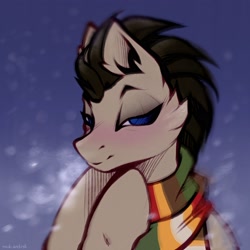 Size: 3500x3500 | Tagged: safe, artist:rrd-artist, imported from derpibooru, doctor whooves, time turner, earth pony, pony, clothes, doctor who, fourth doctor's scarf, lidded eyes, looking at you, scarf, smiling, solo, striped scarf, the doctor, tom baker's scarf
