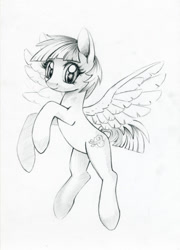Size: 649x900 | Tagged: safe, artist:maytee, imported from derpibooru, windy whistles, pegasus, pony, grayscale, looking at you, monochrome, pencil drawing, smiling, solo, traditional art