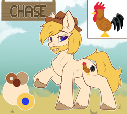 Size: 2925x2616 | Tagged: safe, artist:beardie, imported from derpibooru, oc, oc only, earth pony, pony, hat, reference sheet