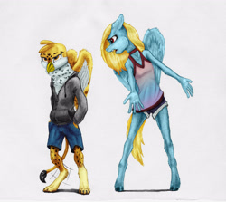 Size: 3946x3524 | Tagged: safe, artist:joestick, editor:vedont, imported from derpibooru, oc, oc only, oc:beaky, oc:brave blossom, anthro, digitigrade anthro, griffon, pegasus, pony, unguligrade anthro, fanfic:yellow feathers, clothes, colored, duo, female, high res, male, pegasu, standing