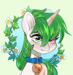 Size: 3562x3670 | Tagged: safe, artist:aphphphphp, imported from derpibooru, oc, oc only, oc:sugarstar, pony, unicorn, absurd resolution, bell, bell collar, bust, collar, flower, high res, portrait, simple background, solo