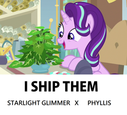 Size: 1026x928 | Tagged: safe, edit, edited screencap, imported from derpibooru, screencap, phyllis, starlight glimmer, pony, unicorn, a horse shoe-in, cargo ship, cute, female, glimmerbetes, i ship it, inkwell, looking at something, mare, open mouth, philodendron, phylliglimmer, potted plant, quill, scroll, shipping, solo, starlight's office