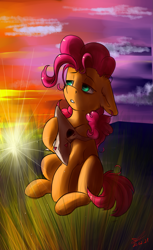 Size: 1061x1738 | Tagged: safe, artist:yuris, imported from derpibooru, oc, oc only, oc:dinky akniet, earth pony, pony, field, mask, pink mane, sadness, sitting, solo, sun, sunset, turquoise eyes