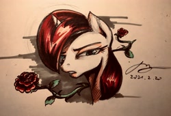 Size: 4032x2740 | Tagged: safe, artist:musical ray, imported from derpibooru, oc, oc only, pony, unicorn, bust, female, flower, rose, solo, solo female, traditional art