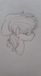 Size: 528x960 | Tagged: safe, artist:aleuoliver, artist:aleurajan, imported from derpibooru, oc, oc only, earth pony, pony, earth pony oc, eyes closed, glasses, hat, lineart, solo, traditional art