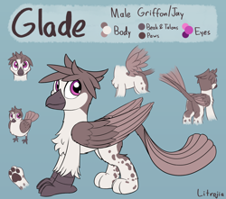 Size: 2600x2300 | Tagged: safe, artist:litrojia, imported from derpibooru, oc, oc only, oc:glade, bird, griffon, butt, chest fluff, griffon oc, male, paw pads, paws, plot, reference sheet, spots, spread wings, standing, tail feathers, two toned wings, underpaw, wings