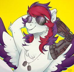 Size: 1222x1188 | Tagged: source needed, safe, artist:blissful dreams, imported from derpibooru, oc, oc only, oc:sarif, pegasus, semi-anthro, amputee, arm behind head, chest fluff, commission, crossover, cyberpunk, cyberpunk 2077, dog tags, johnny silverhand, prosthetic limb, prosthetics, solo, sunglasses, two toned wings, wings, ych result