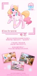 Size: 1500x3074 | Tagged: safe, artist:brony_festival, imported from derpibooru, oc, oc:electronia, china, chinese, photo, qingdao, qingdao brony festival