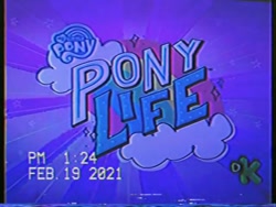 Size: 640x480 | Tagged: safe, artist:grandescartoons, imported from derpibooru, screencap, my little pony: pony life, discovery kids, discovery kids logo, g4.5, logo, my little pony logo, photo, picture of a screen, pony life, vhs